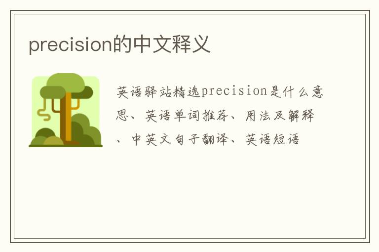 precision的中文释义