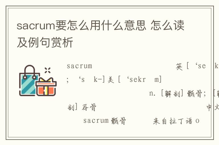 sacrum要怎么用什么意思 怎么读及例句赏析