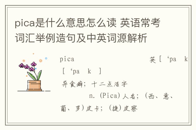 pica是什么意思怎么读 英语常考词汇举例造句及中英词源解析