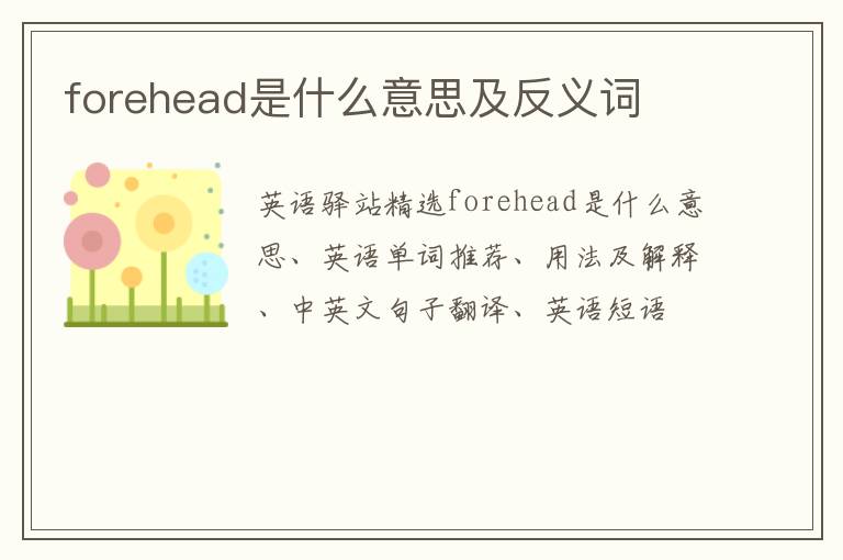 forehead是什么意思及反义词