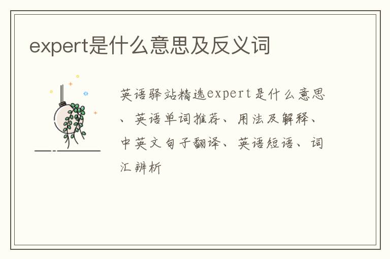 expert是什么意思及反义词