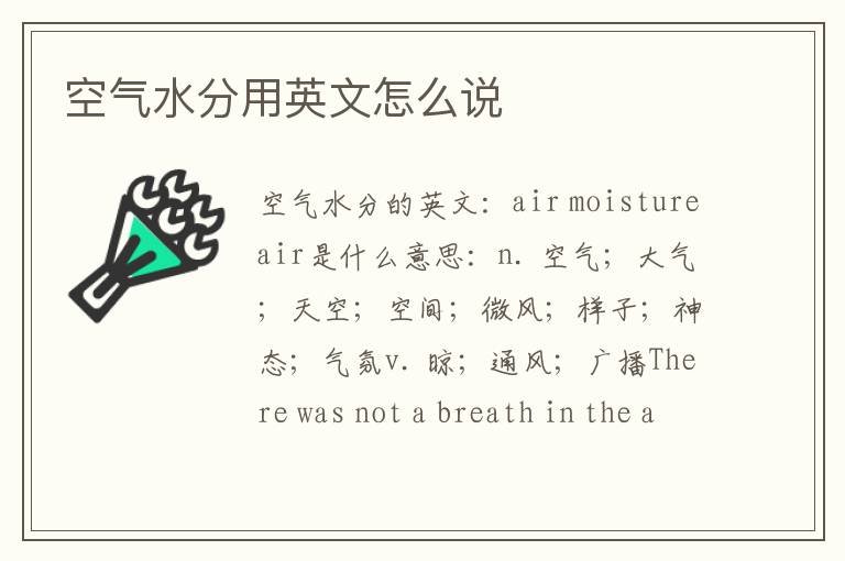 空气水分用英文怎么说