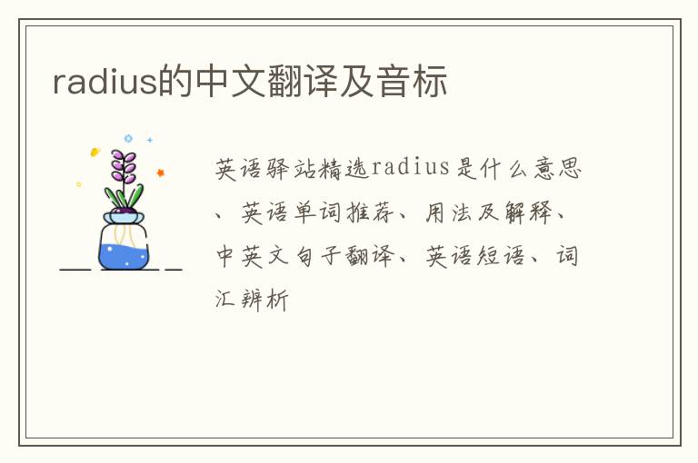 radius的中文翻译及音标