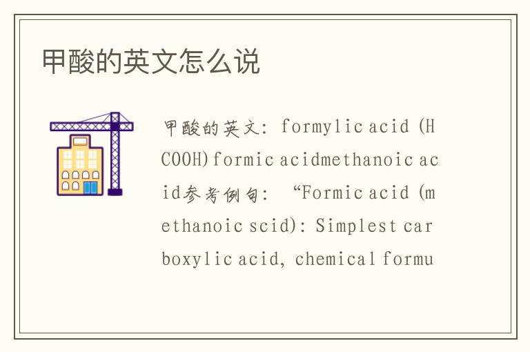 甲酸的英文怎么说