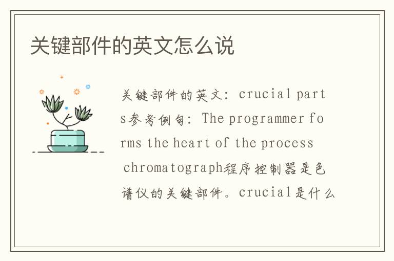 关键部件的英文怎么说