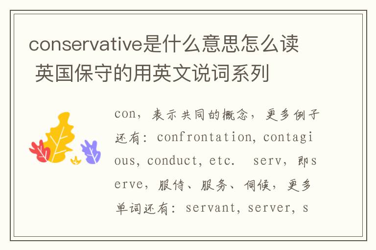 conservative是什么意思怎么读 英国保守的用英文说词系列