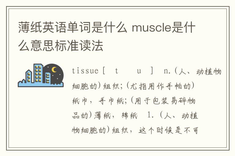 薄纸英语单词是什么 muscle是什么意思标准读法