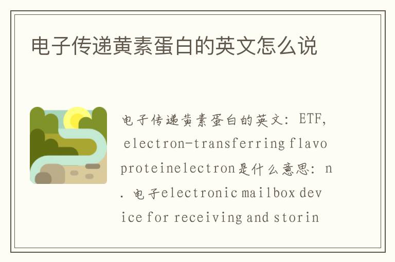 电子传递黄素蛋白的英文怎么说