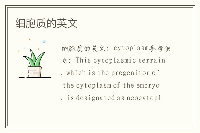 细胞质的英文