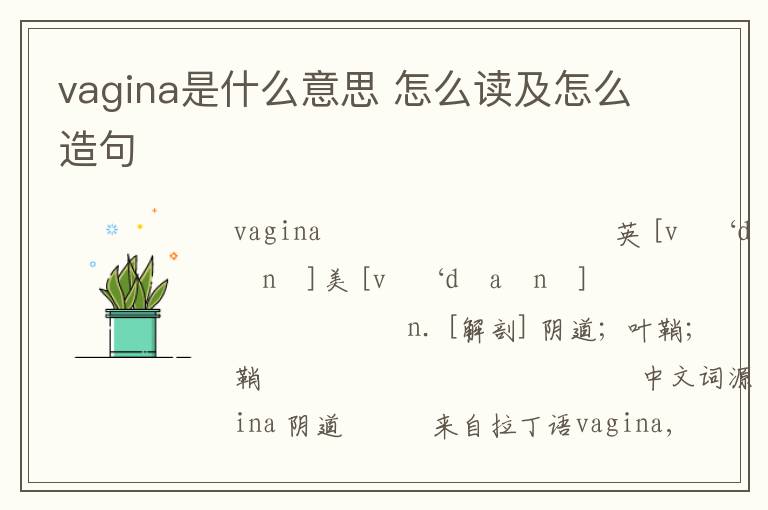 vagina是什么意思 怎么读及怎么造句