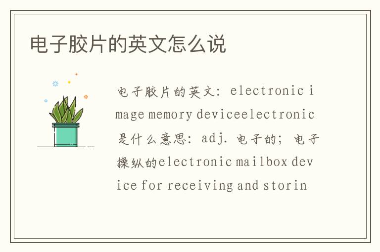 电子胶片的英文怎么说