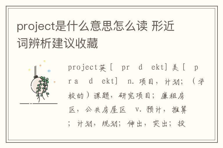 project是什么意思怎么读 形近词辨析建议收藏