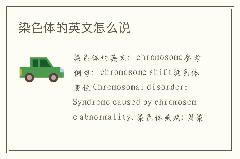 染色体的英文怎么说