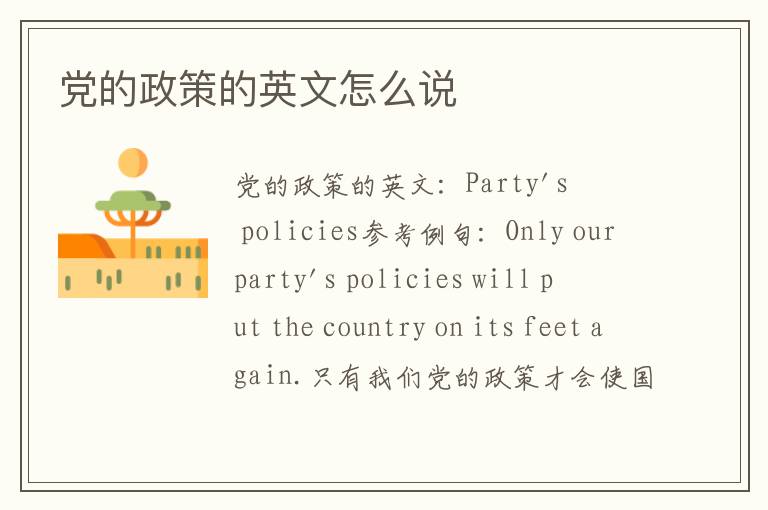 党的政策的英文怎么说