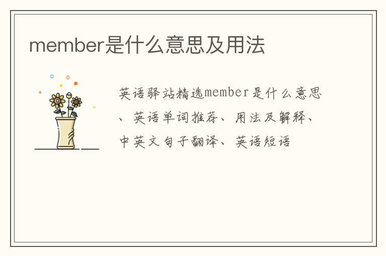 member是什么意思及用法