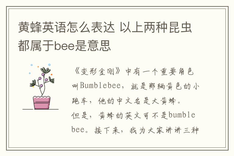 黄蜂英语怎么表达 以上两种昆虫都属于bee是意思