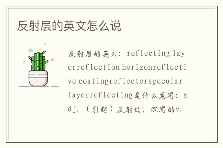 反射层的英文怎么说