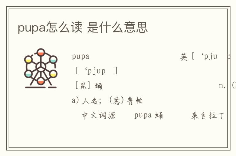 pupa怎么读 是什么意思