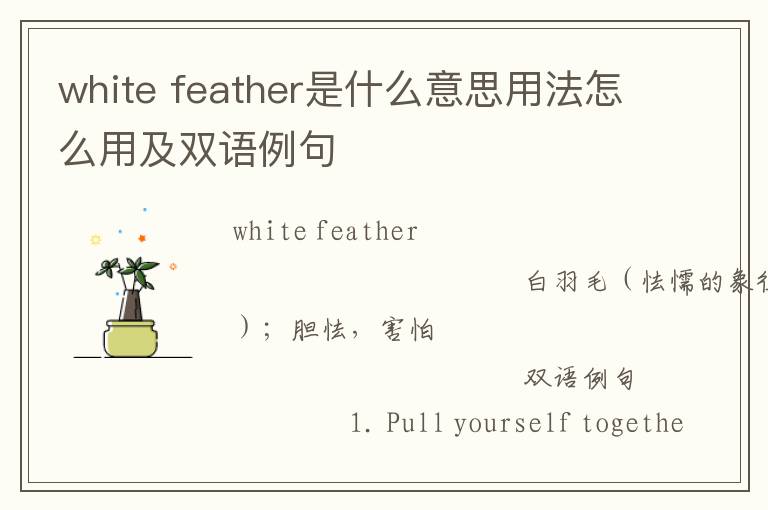 white feather是什么意思用法怎么用及双语例句