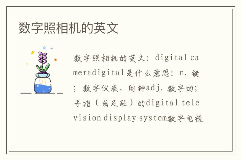 数字照相机的英文