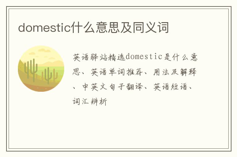 domestic什么意思及同义词