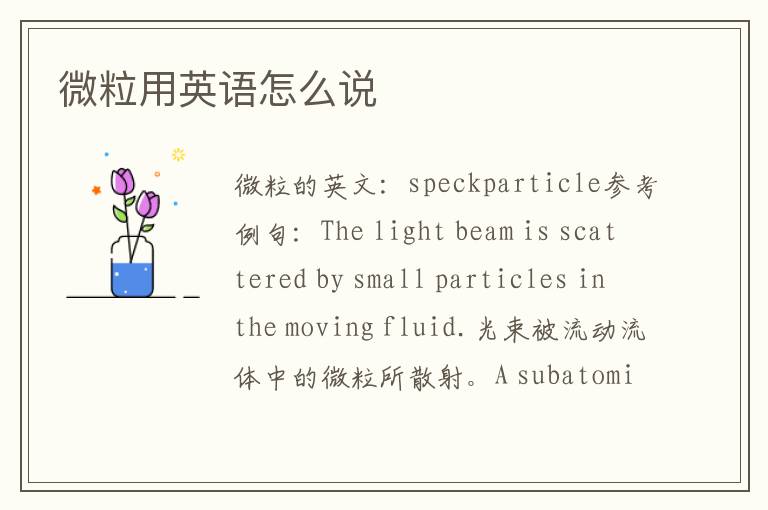 微粒用英语怎么说