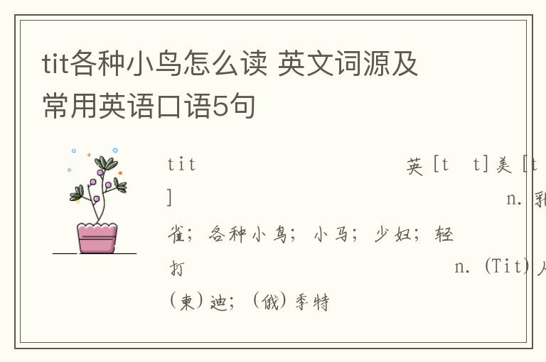 tit各种小鸟怎么读 英文词源及常用英语口语5句