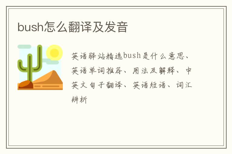 bush怎么翻译及发音