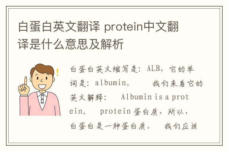 白蛋白英文翻译 protein中文翻译是什么意思及解析