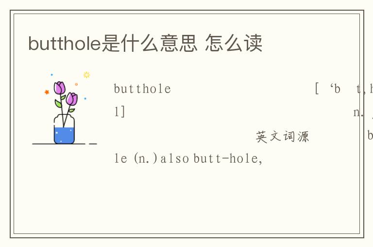 butthole是什么意思 怎么读