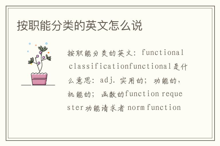 按职能分类的英文怎么说