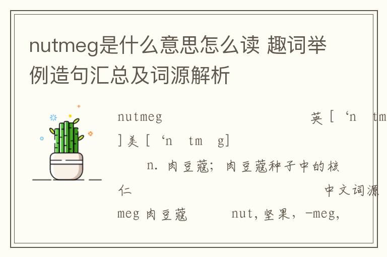 nutmeg是什么意思怎么读 趣词举例造句汇总及词源解析