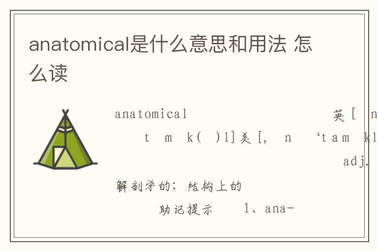 anatomical是什么意思和用法 怎么读