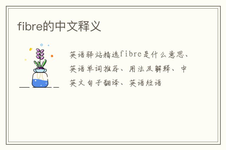 fibre的中文释义