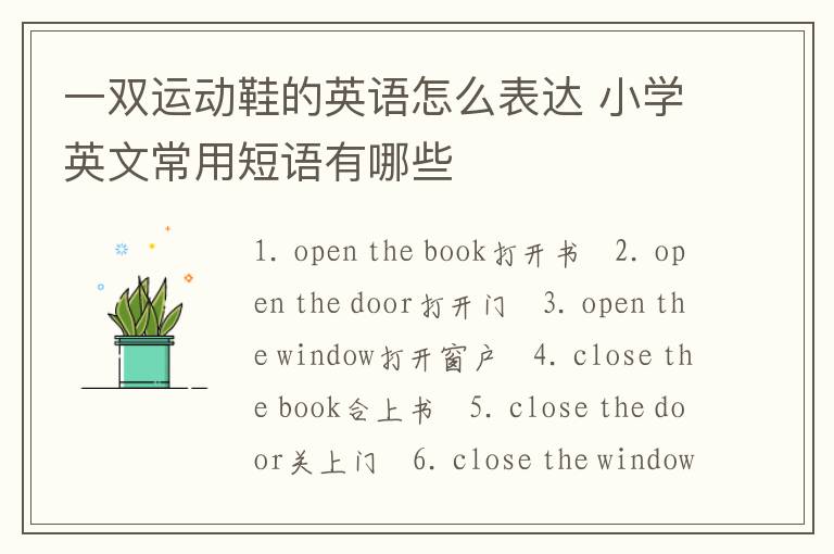 一双运动鞋的英语怎么表达 小学英文常用短语有哪些