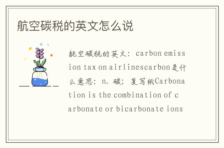 航空碳税的英文怎么说