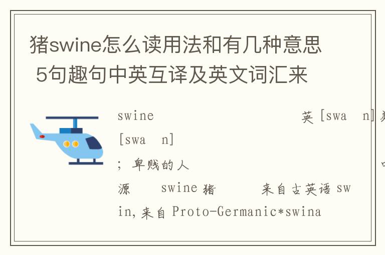 猪swine怎么读用法和有几种意思 5句趣句中英互译及英文词汇来源