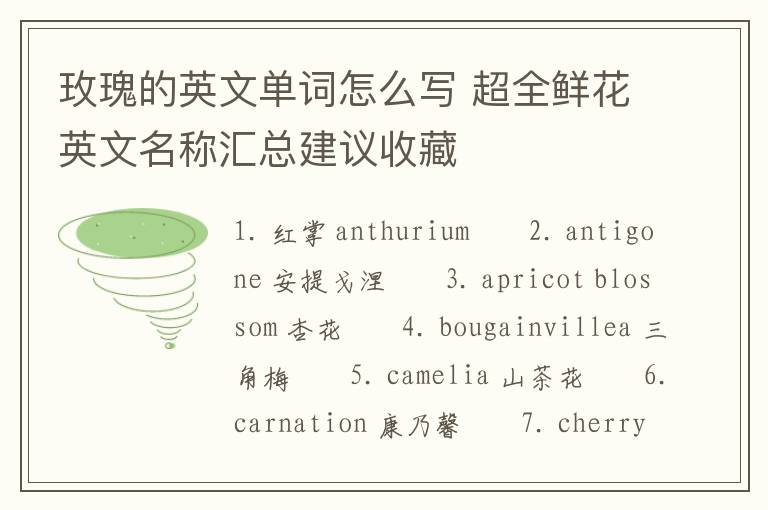 玫瑰的英文单词怎么写 超全鲜花英文名称汇总建议收藏