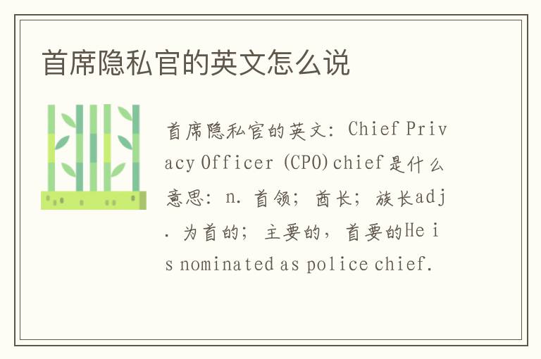 首席隐私官的英文怎么说