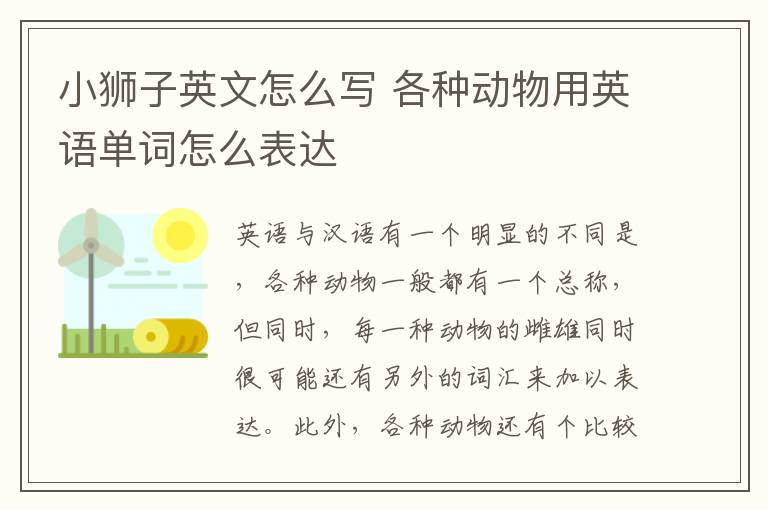 小狮子英文怎么写 各种动物用英语单词怎么表达