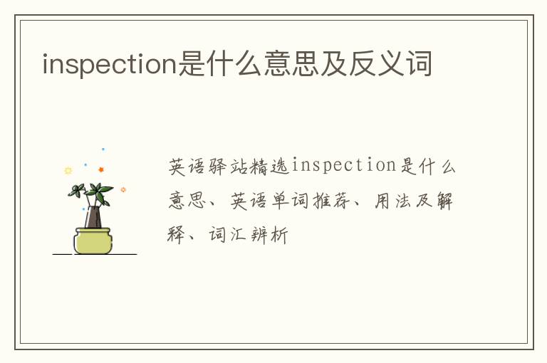 inspection是什么意思及反义词