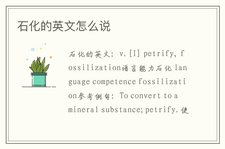 石化的英文怎么说