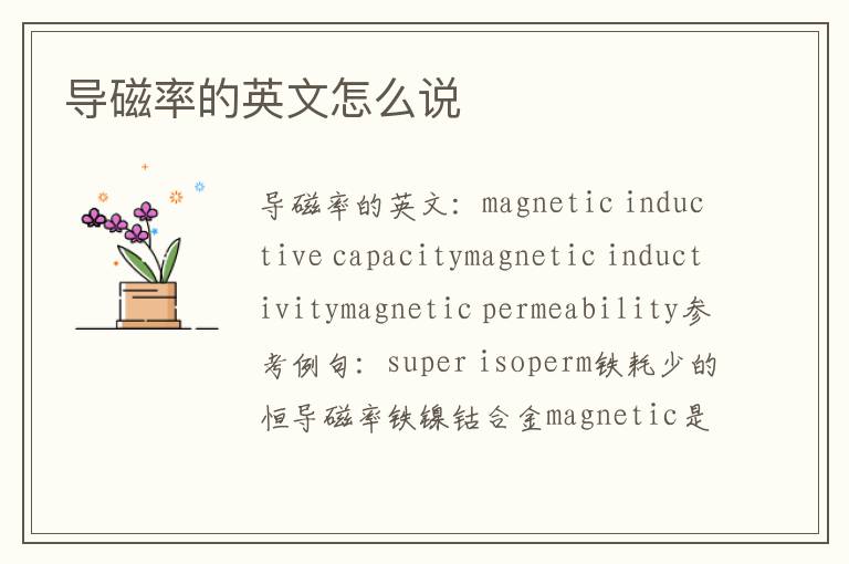 导磁率的英文怎么说