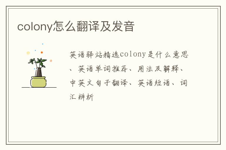 colony怎么翻译及发音