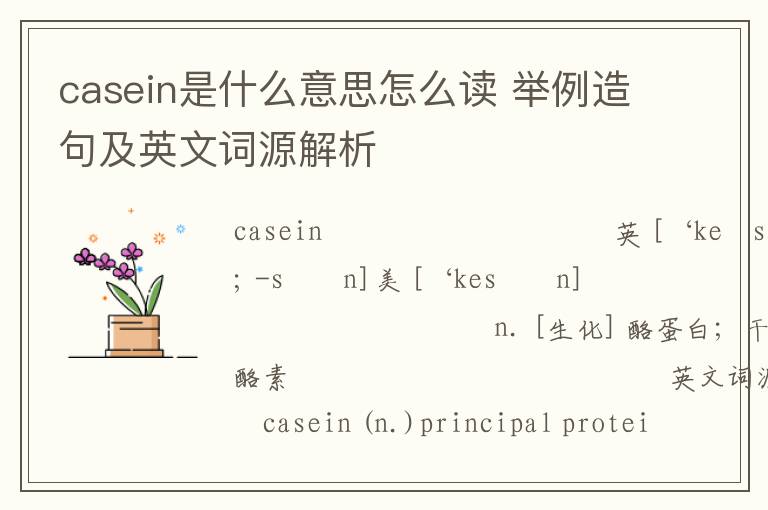 casein是什么意思怎么读 举例造句及英文词源解析