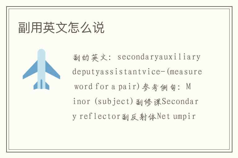 副用英文怎么说
