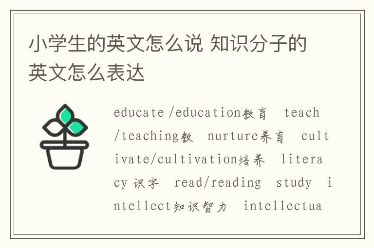 小学生的英文怎么说 知识分子的英文怎么表达