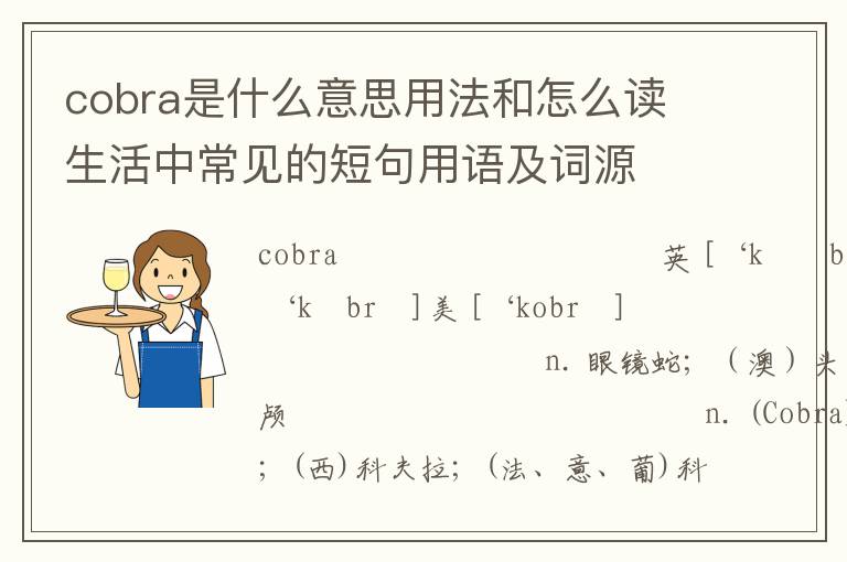 cobra是什么意思用法和怎么读 生活中常见的短句用语及词源