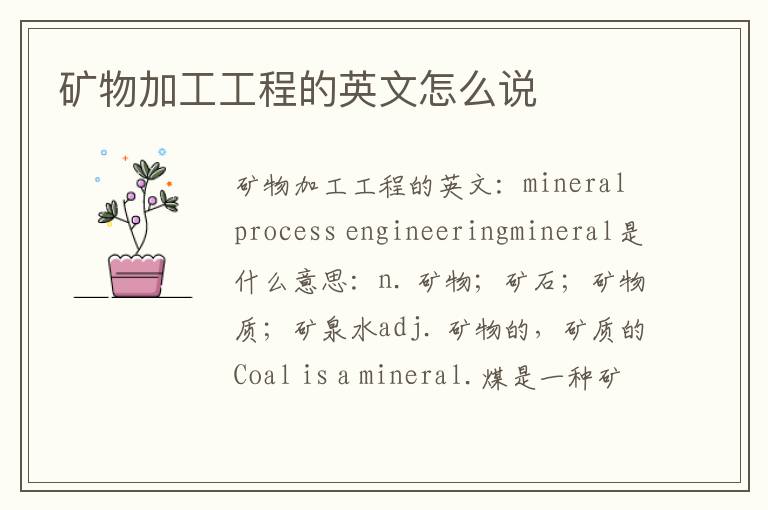 矿物加工工程的英文怎么说