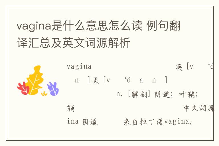 vagina是什么意思怎么读 例句翻译汇总及英文词源解析